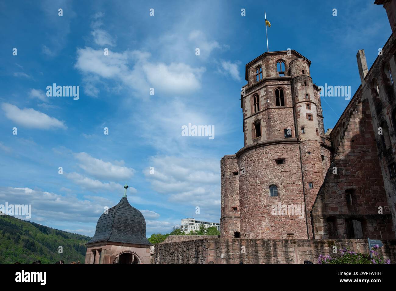 Germany, upper part of Schloss Heidelberg castle tower with flag ...