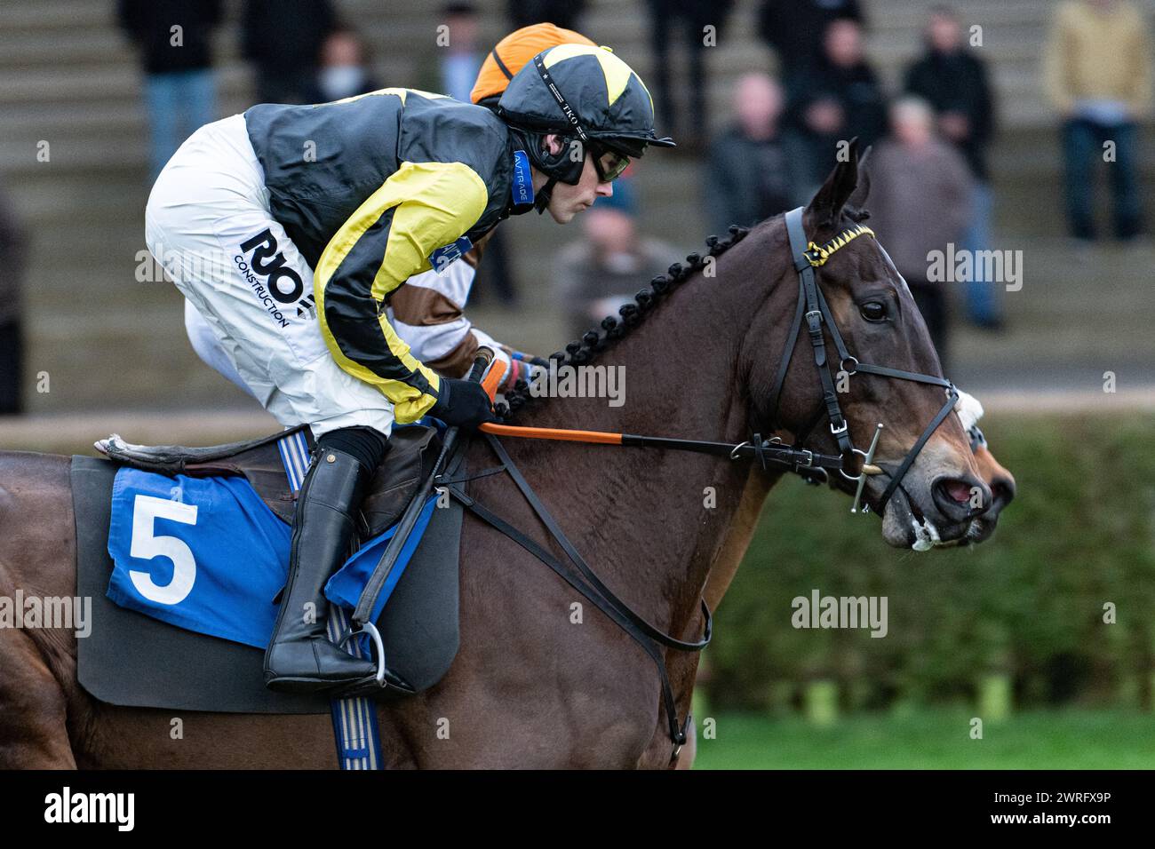 Mares' Open National Hunt Flat race at Wincanton, February 3rd 2022 Stock Photo