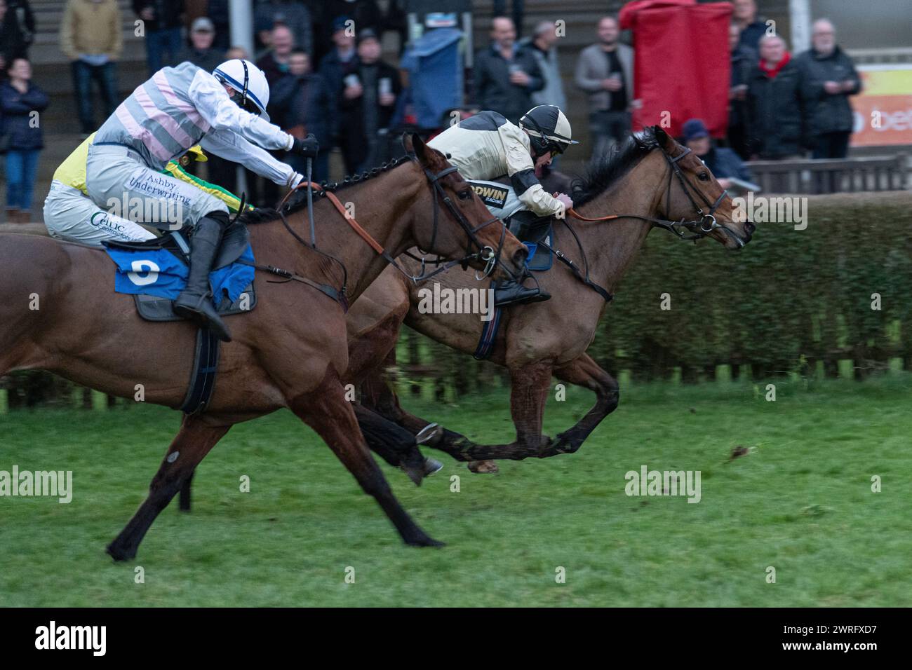 Mares' Open National Hunt Flat race at Wincanton, February 3rd 2022 ...