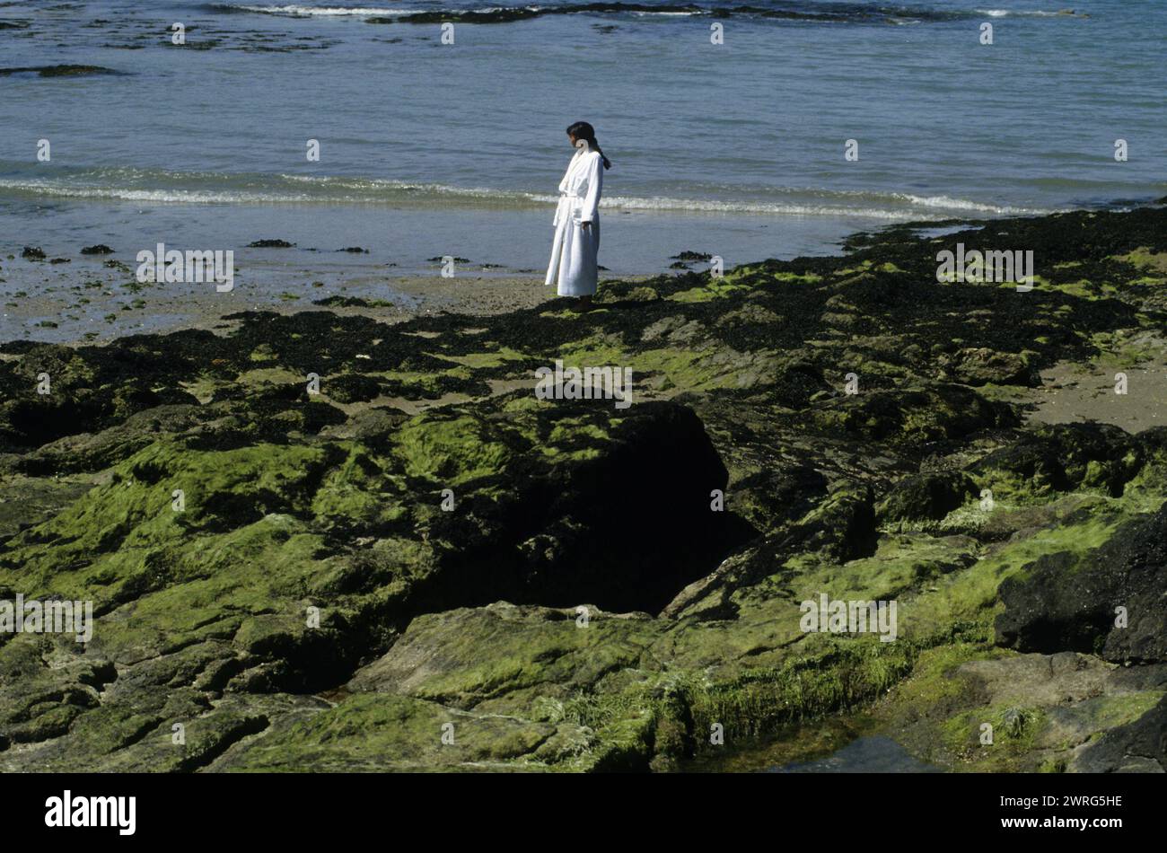 black hair young woman st malo france spa resort thalassotherapy walking on the shore with seagrass in white bath dress Stock Photo