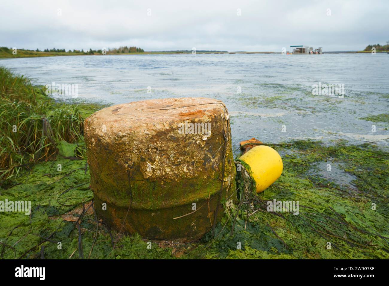 Rustico Bay Shoreline of prince edward island hi-res stock photography and images ...
