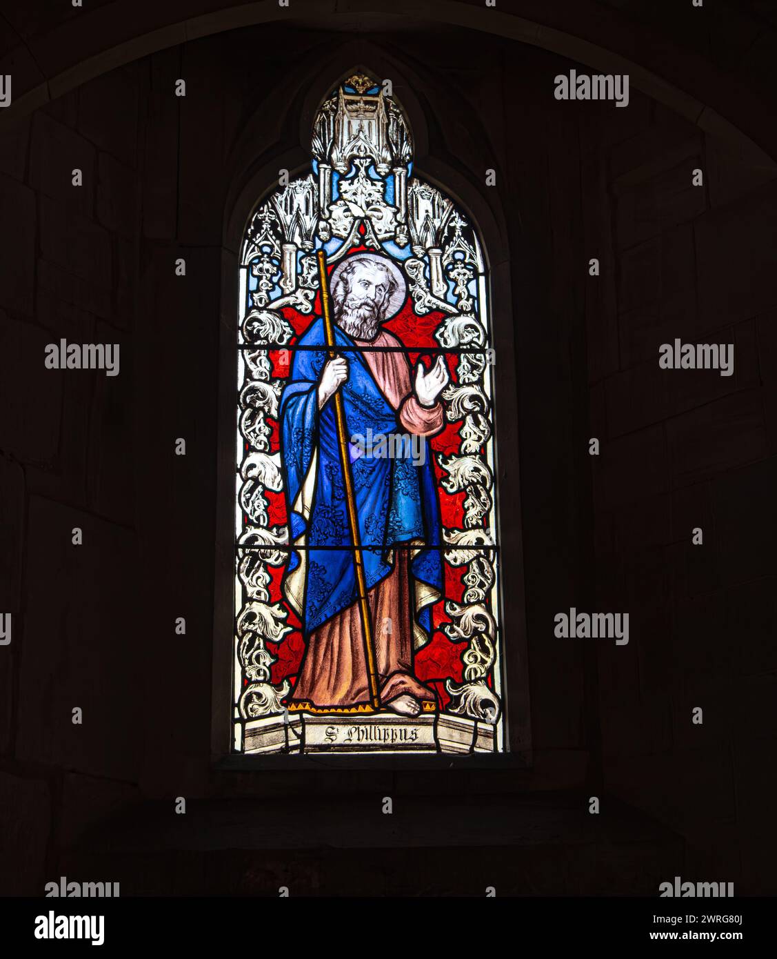 Stained glass window of Saint Phillip in the Saint Mary Magdalene