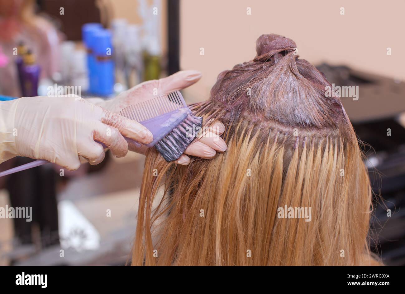 The hairdresser paints the woman's hair in white, apply the paint to