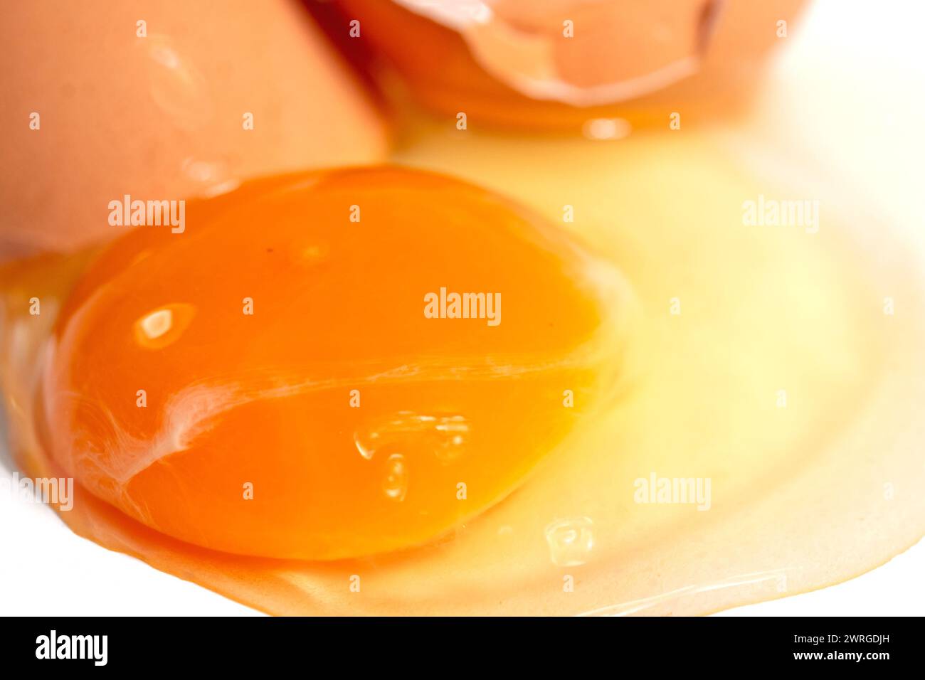 Cracked brown chicken egg against a white background Stock Photo
