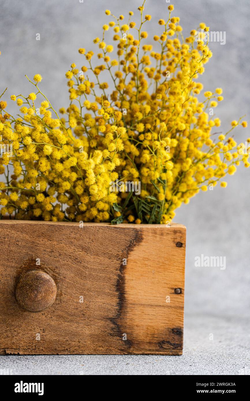 Close-up of a bunch of yellow mimosa flowers in a wooden draw on a table Stock Photo