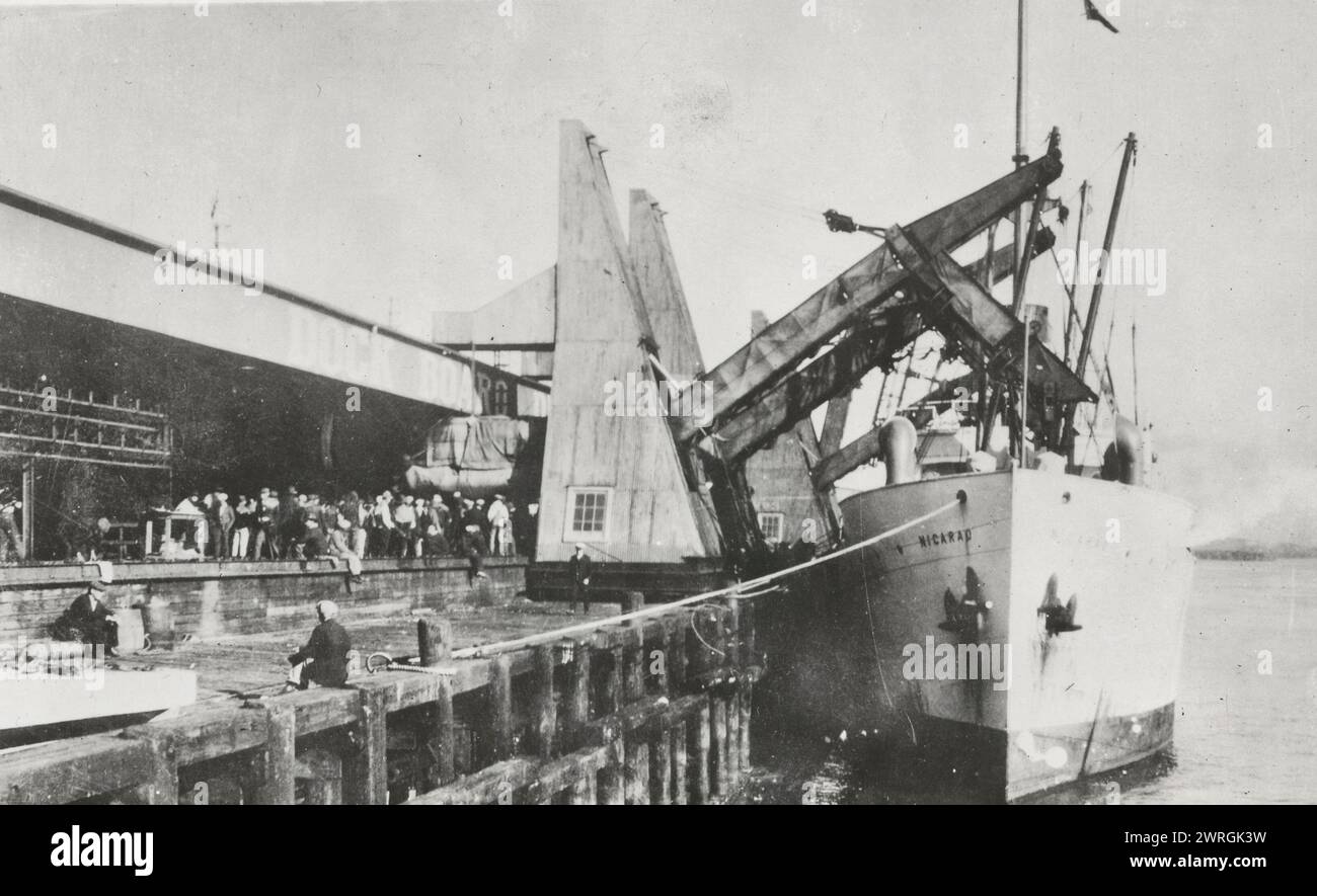 Port of New Orleans - A battery of four banana unloaders at one of the fruit terminals - Each conveyor handles 2500 bunches per hour - Over 20,000,000 bunches of bananas pass through the port yearly, circa 1920 Stock Photo