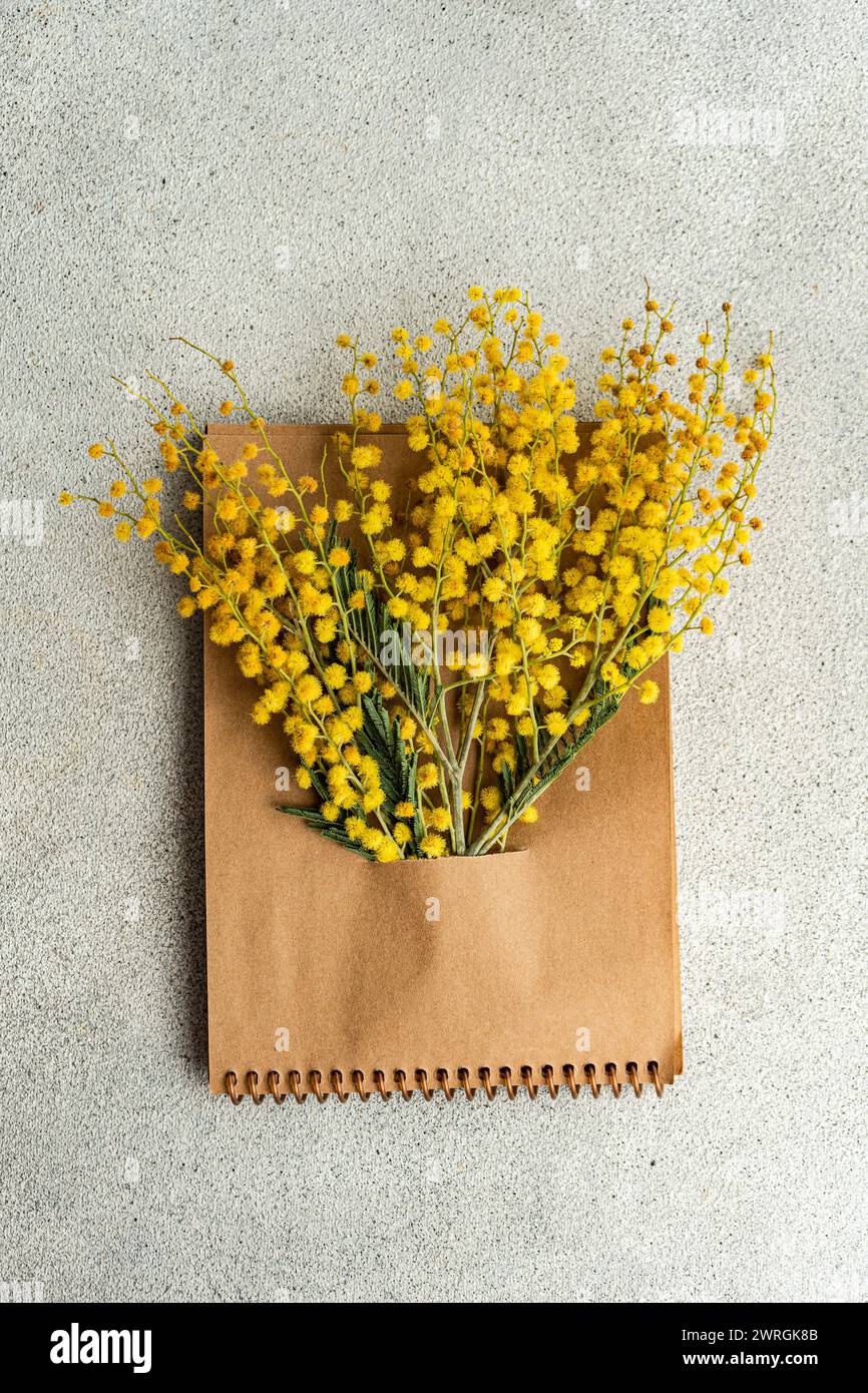Overhead view of a bunch of yellow mimosa flowers tucked into a notepad Stock Photo