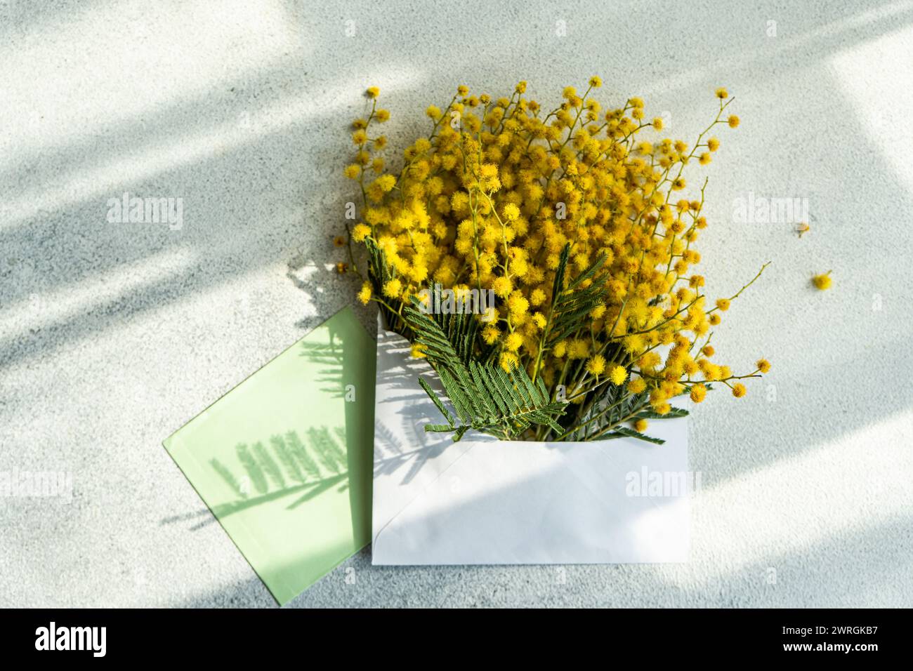 Overhead view of a bunch of yellow mimosa flowers in an envelope on a table Stock Photo