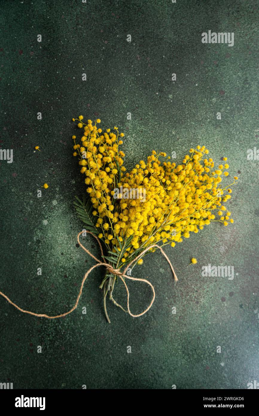 Overhead view of a bunch of freshly picked yellow mimosa stems tied with string on a table Stock Photo