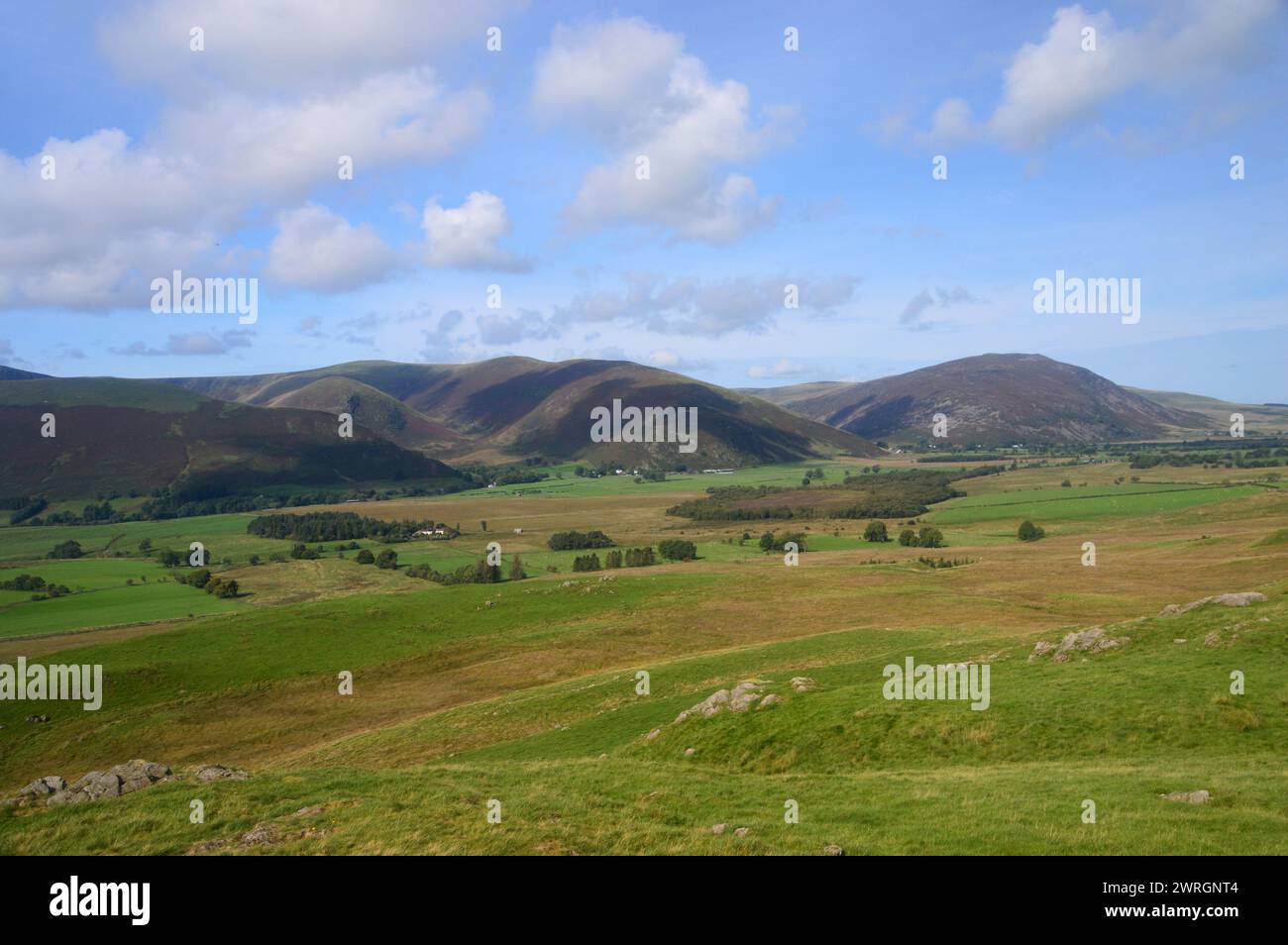 The Wainwrights 'Carrock Fell' and 'Bowscale Fell' from the Eycott Hills Nature Reserve near Penrith, Lake District National Park, Cumbria, England. Stock Photo