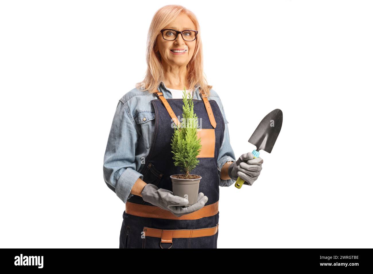 Woman with an apron planting a small evergreen tree isolated on white background Stock Photo