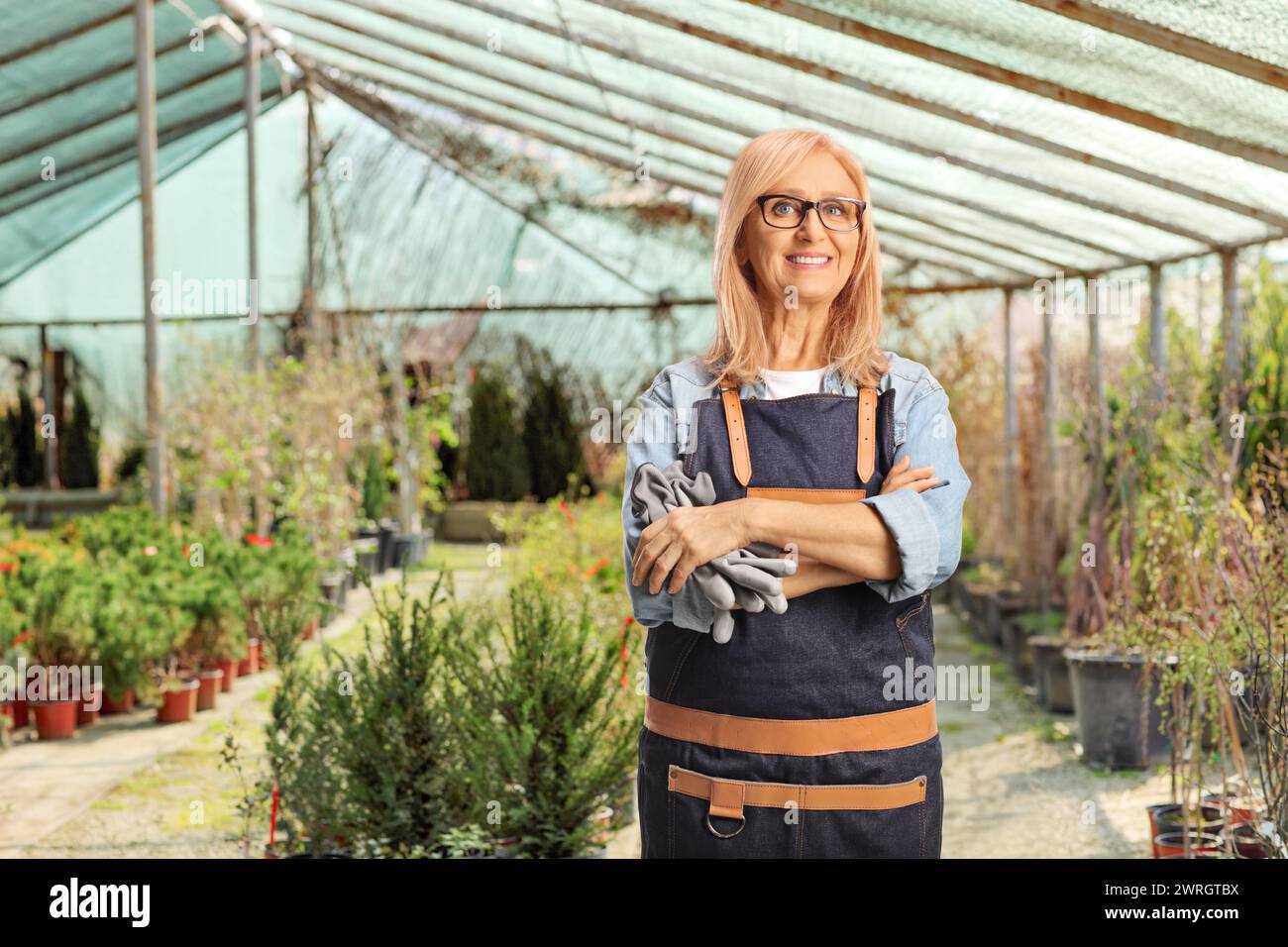 Woman gardener with an apron holding a pair of gloves in a glasshouse Stock Photo