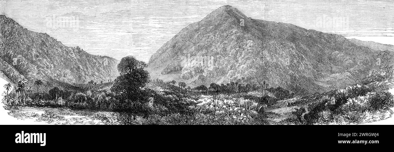 Views at the Seat of the War in New Zealand: Waikato Heads, 1864. Engraving from a photograph by Mr. A.E. Smith. 'The bush with which the Waikato Heads are covered, extends about twelve miles by the Waikato River, and in this bush the Maoris are gathered in force'. From &quot;Illustrated London News&quot;, 1864. Stock Photo