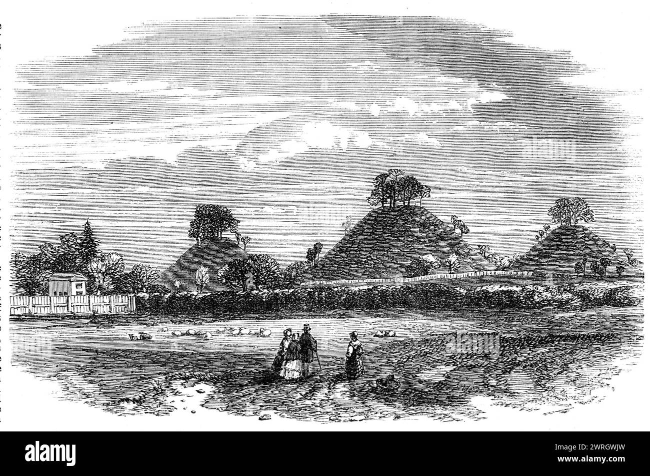 The Bartlow Hills (Grave Mounds of the Romans), Essex, 1864. Engraving from a photograph by Mr. G. Collins, of '...four tumuli, arranged in a row and varying in size, the largest being 142 ft. in diameter at the base and 44ft. high...Excavations...distinctly prove them to be Roman works. Many curious and valuable sepulchral relics were discovered in them, but they were unfortunately lost in the fire which burned down Easton Lodge, near Dunmow, the seat of Viscount Maynard, on whose estates the hills are situated. It was feared that these venerable landmarks were condemned to destruction in ord Stock Photo