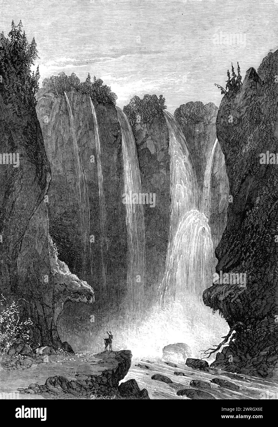Peyton Falls, Alleghany County, Virginia, 1864. Engraving of a '...sketch, by an amateur artist, of Peyton Falls, in the Alleghany Mountains, Western Virginia. This romantic and beautiful cascade is on the Falling Spring, a brook tributary to Jackson's River. It is situated in the district or township which was once known as West Augusta...Peyton Falls is the highest cascade or waterfall in America, being 200 ft. in height, while that of Niagara is only 150 ft. The principal stream, however, is only about 10 yards wide at the top and a little more spread at the bottom of the fall. The water is Stock Photo