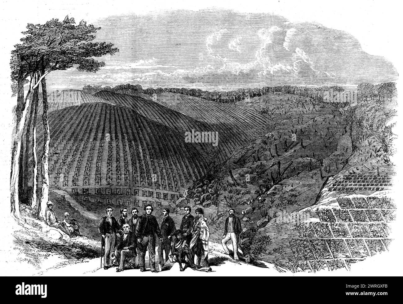 Peruvian bark tree plantations in the Neilgherry Hills, India: Sir William Denison, Governor of Madras, planting the first tree in a new plantation, 1862. 'Mr. Clements Markham, of the India Office, was intrusted...with the duty of superintending all the necessary arrangements for the collection of cinchona plants and seeds in South America, and for their introduction into India...Mr. Markham...penetrated into the forests of Caravaya, in Southern Peru, which had never before been trodden by any European...The supply of bark from South America was every year becoming more and more precarious, o Stock Photo