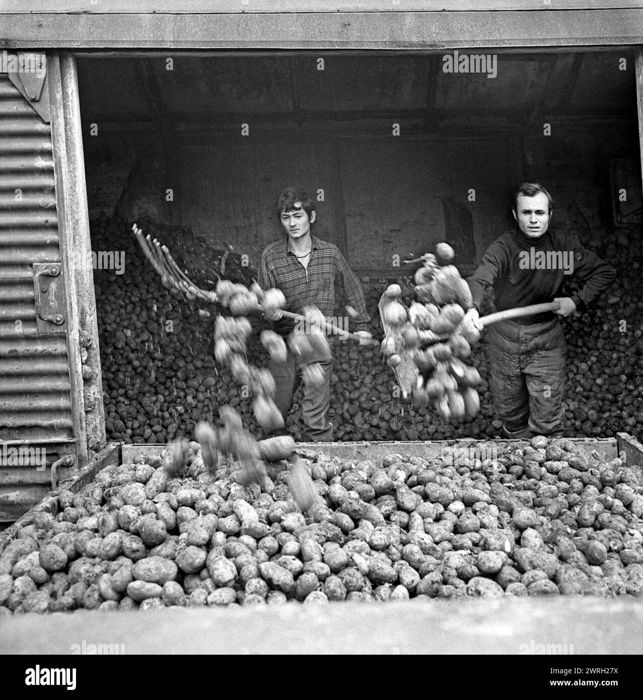 Food shipped train hires stock photography and images Alamy