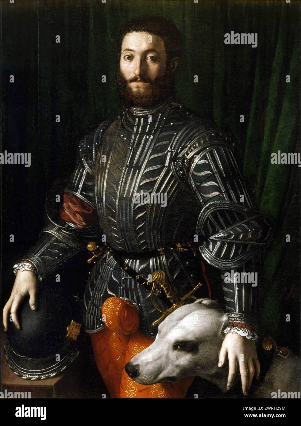 Portrait of Guidobaldo II della Rovere (1514-1574), 1531. Found in the Collection of the Galleria Palatina, Florence. Stock Photo