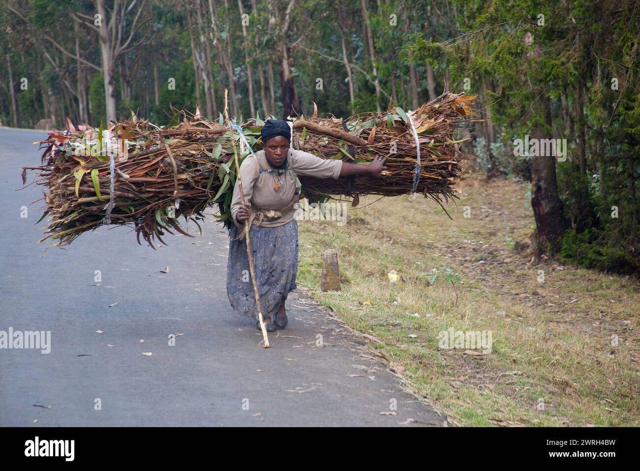 Rus pornosi: yigit, buvi, kozoynak