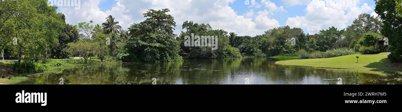 Panorama of the Eco Lake, a key attraction in the Singapore Botanic Gardens which mimics the natural swamp habitat of the region Stock Photo