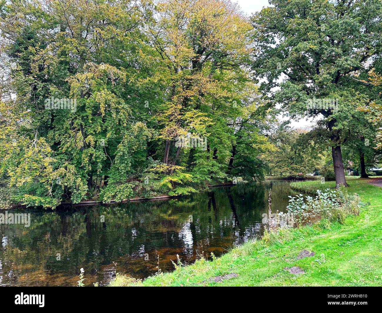 Beautiful water channel and different plants in park Stock Photo