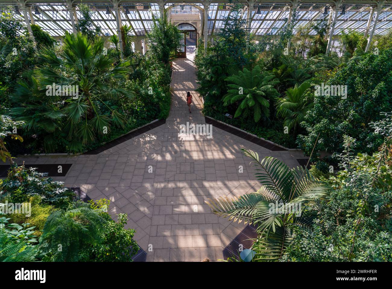 This is an aerial view of the Temperate House, a famous greenhouse and popular travel destination in Kew Gardens on August 08, 2022 in London, United Stock Photo