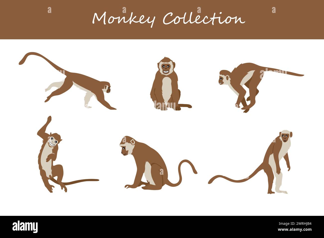monkey vector illustration set. Cute monkey isolated on white background. Stock Vector