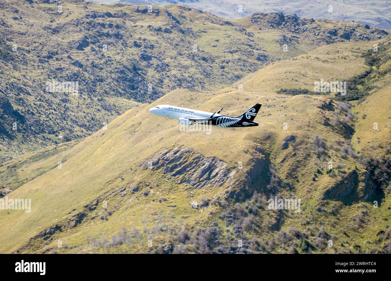 Lush green hills new zealand hi-res stock photography and images - Alamy