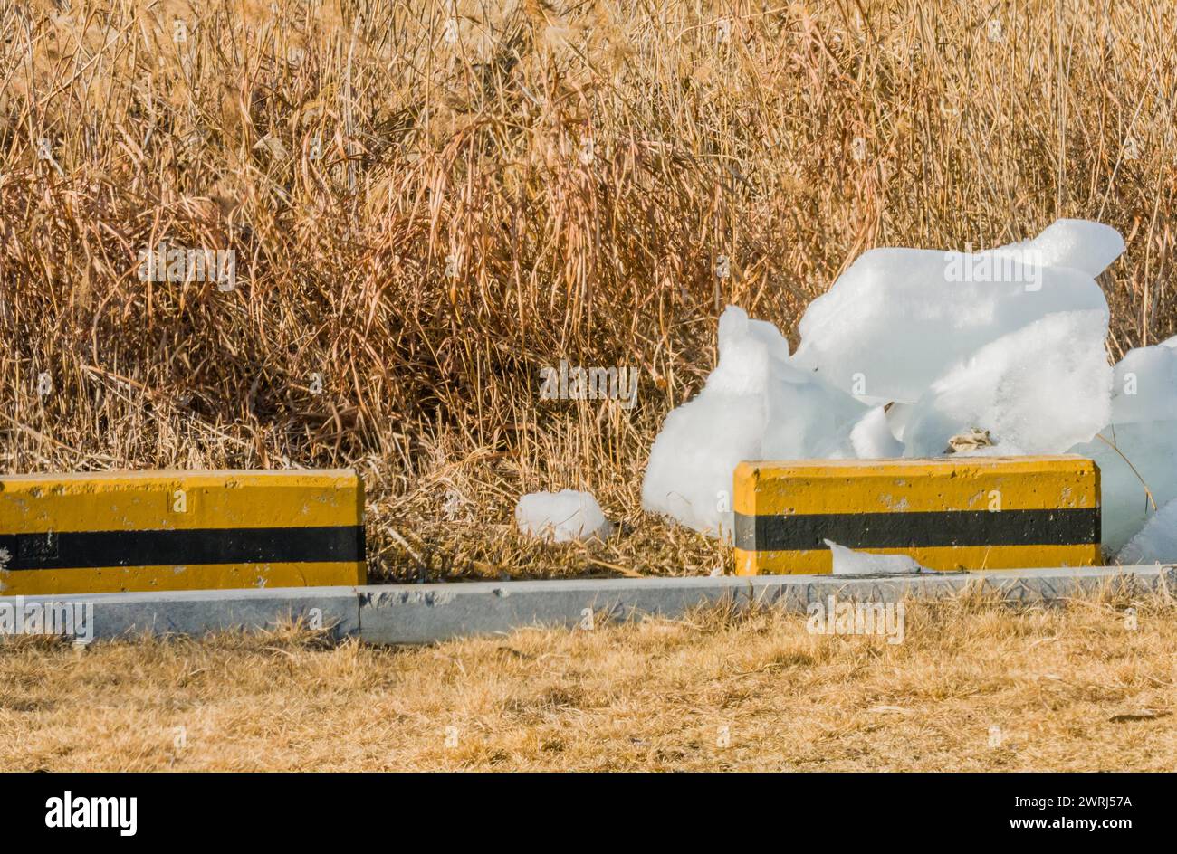 Large blocks of ice laying on ground next to parking lot with tall brown reeds in background in Daejeon, South Korea Stock Photo