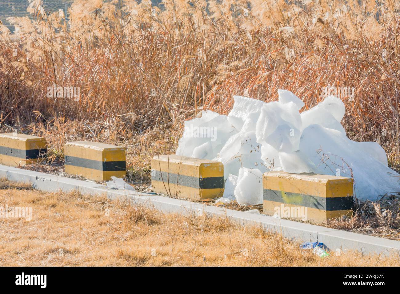 Large blocks of ice laying on ground next to parking lot with tall brown reeds in background in Daejeon, South Korea Stock Photo