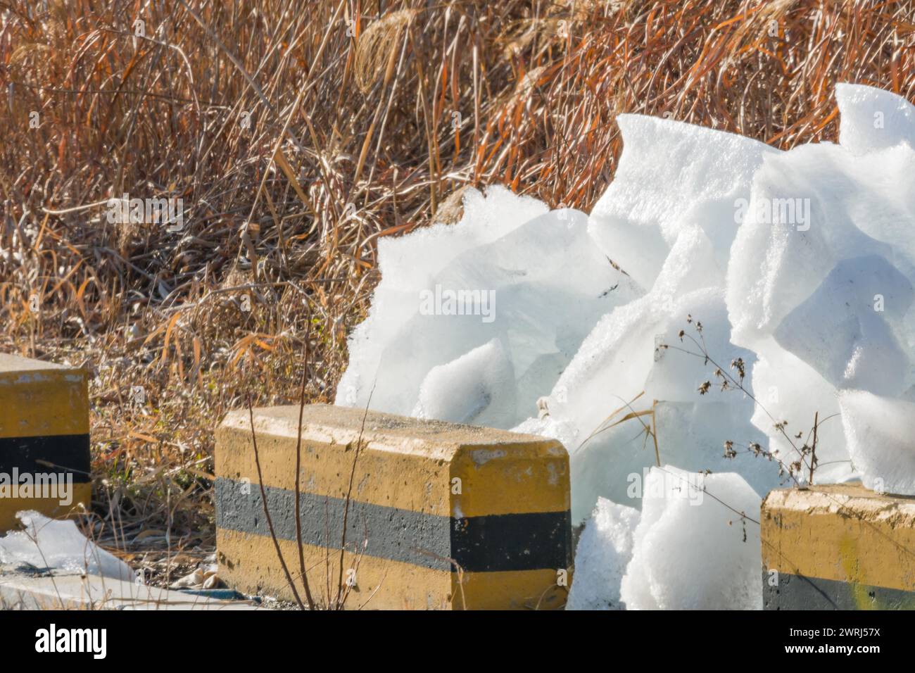 Large blocks of ice laying on ground next to parking lot with tall brown reeds in background in Daejeon, South Korea Stock Photo