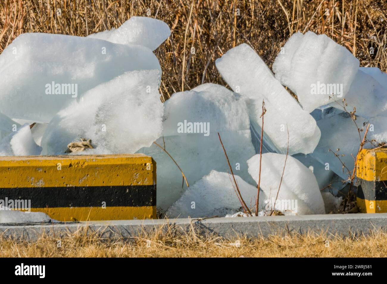 Large blocks of ice laying on ground next to parking lot with tall brown reeds in background in Daejeon, South Korea Stock Photo