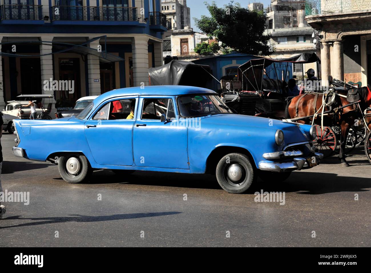 Classic blue car drives past horse-drawn carriages on city street, Havana, Cuba, Central America Stock Photo