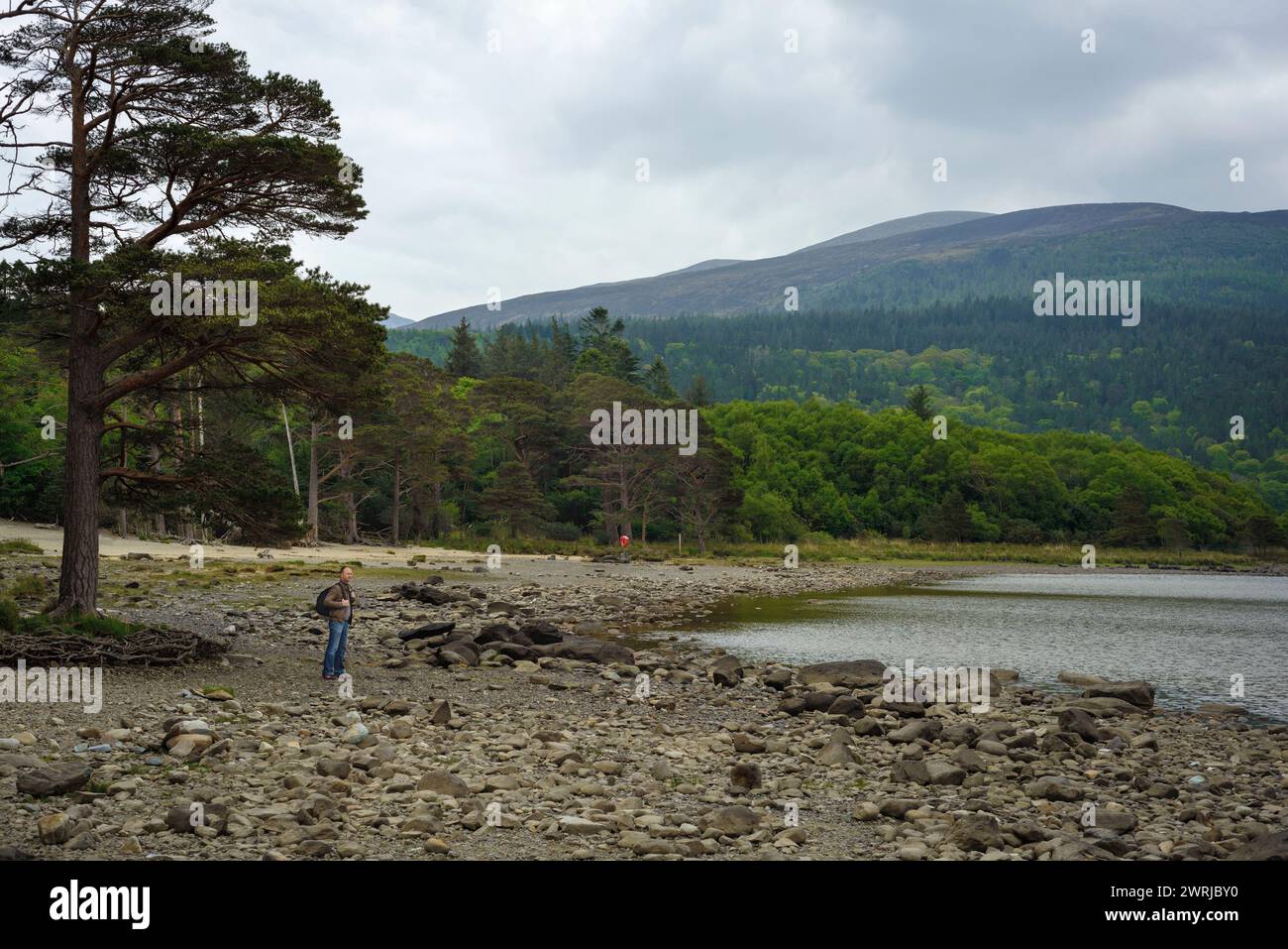 Male tourist backpacker standing at the Dundag Beach by Muckross Lake at low tide in Killarney National Park, County Kerry, Ireland Stock Photo