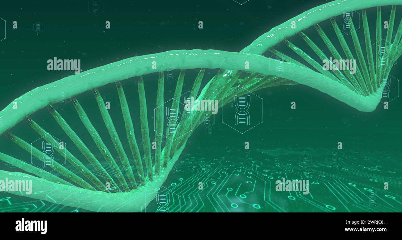 Image of dna strand, network of medical icons and data processing Stock ...