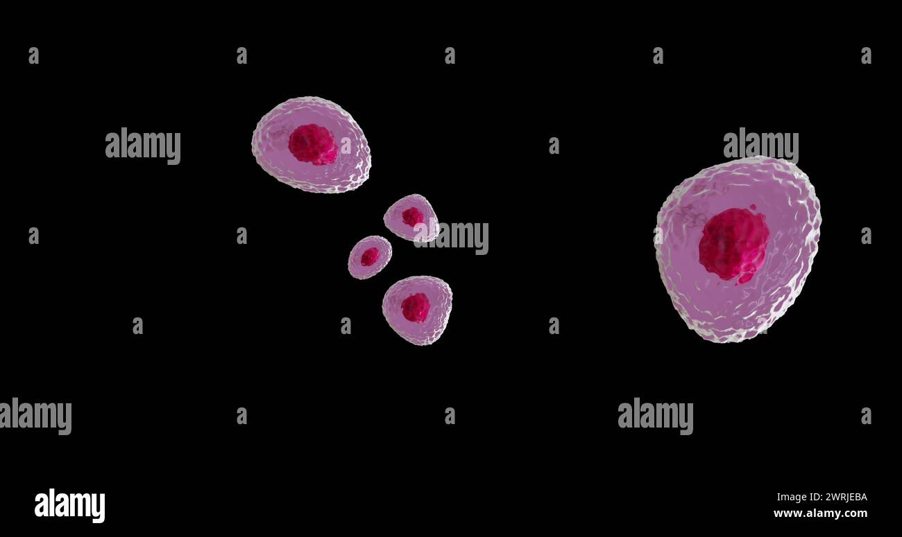 Red Roses Cells Image of micro of red and pink cells on black background Stock Photo ...