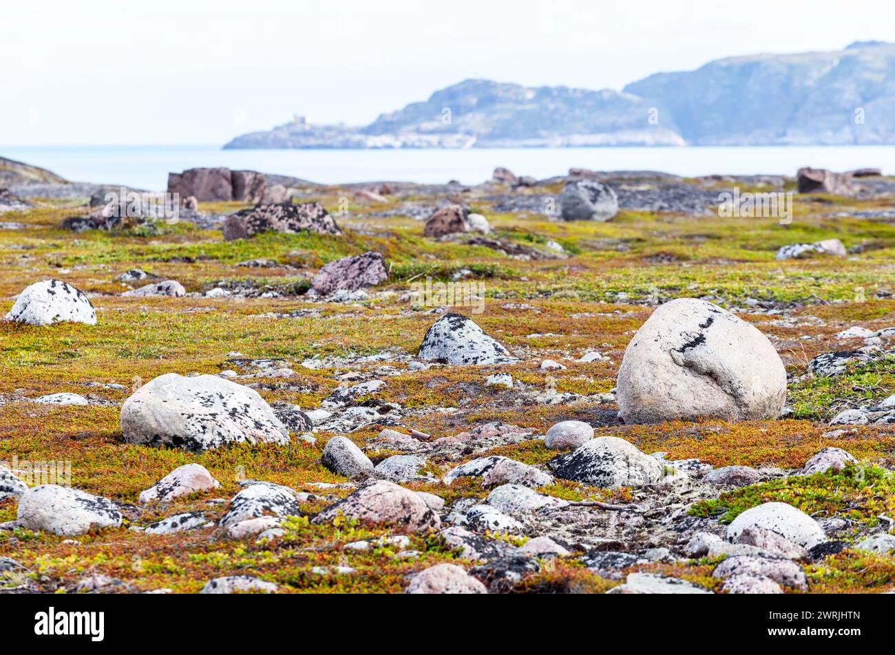 Tundra Arctic Moss Russia Hi res Stock Photography And Images Alamy