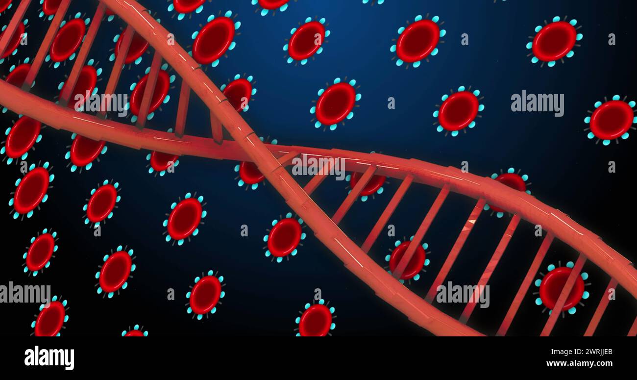 Image of dna over red cells on blue background Stock Photo - Alamy
