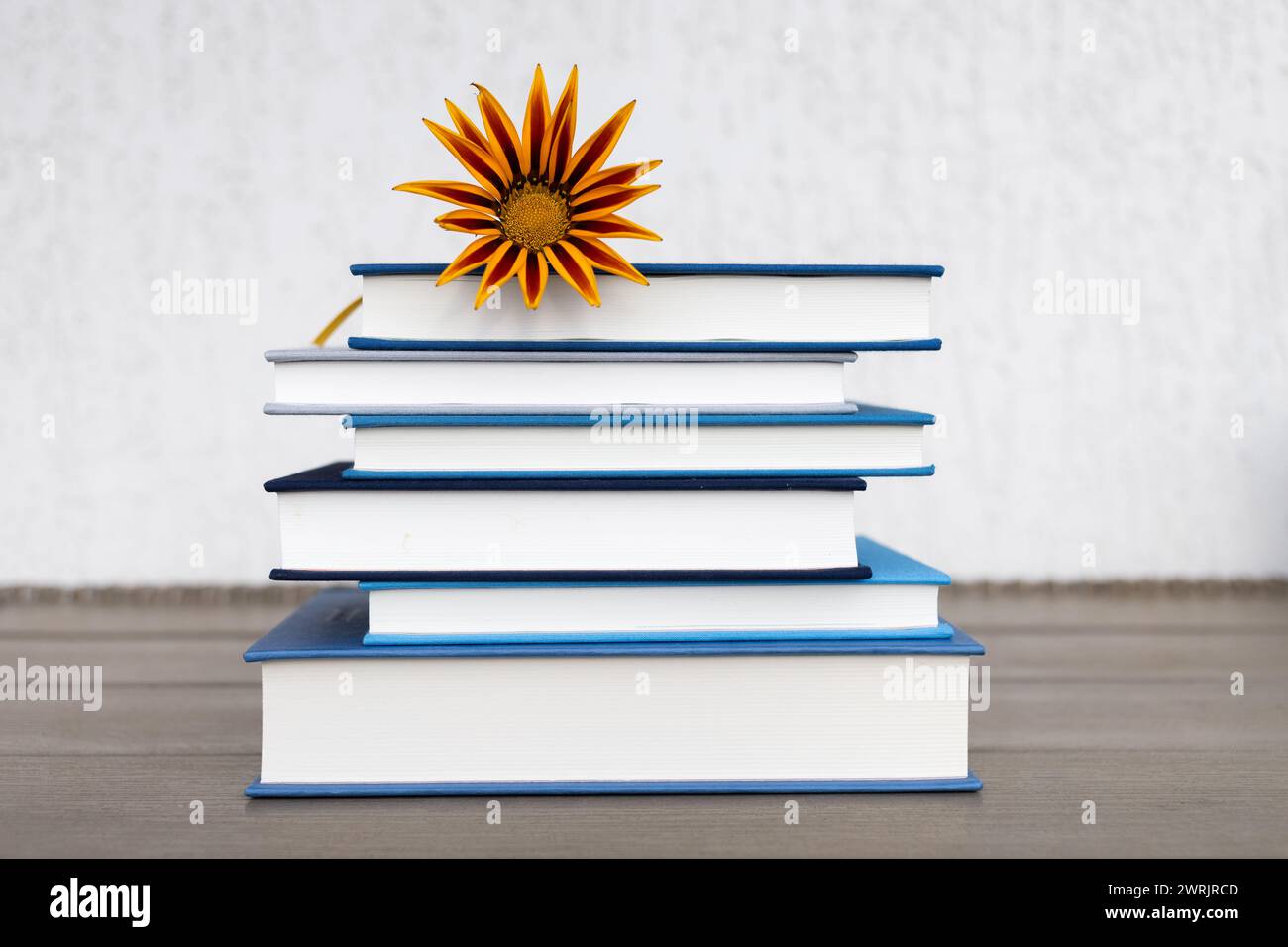 stack of books and a flower lying on a table on a light background. Reading, education, wisdom and knowledge concept. Digital detox. Book Day. The val Stock Photo