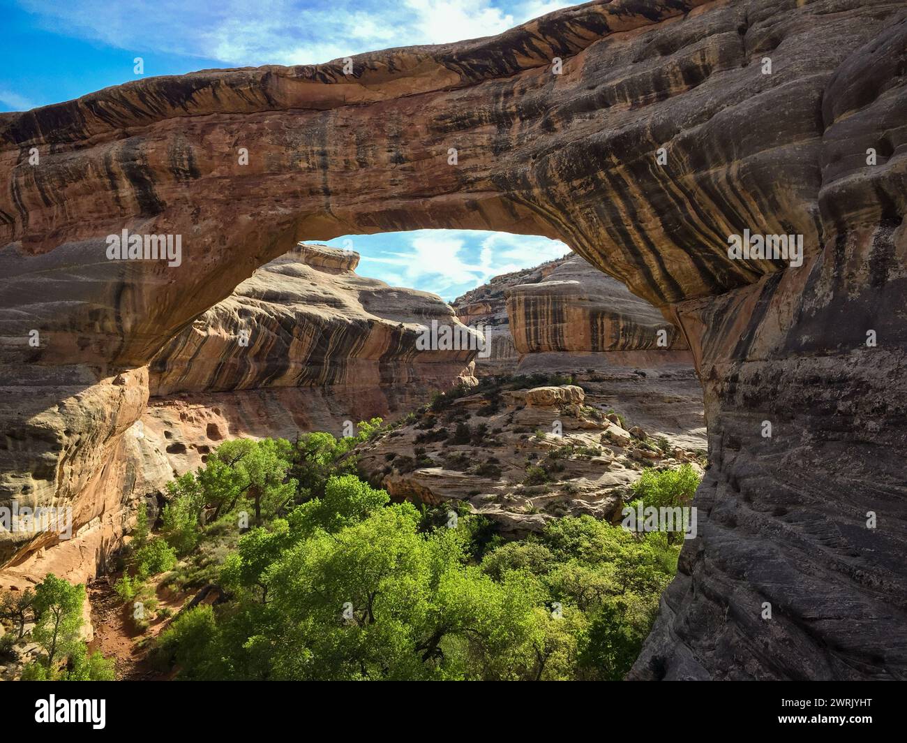 Natural Bridges National Monument in Southeast Utah, USA Stock Photo Alamy