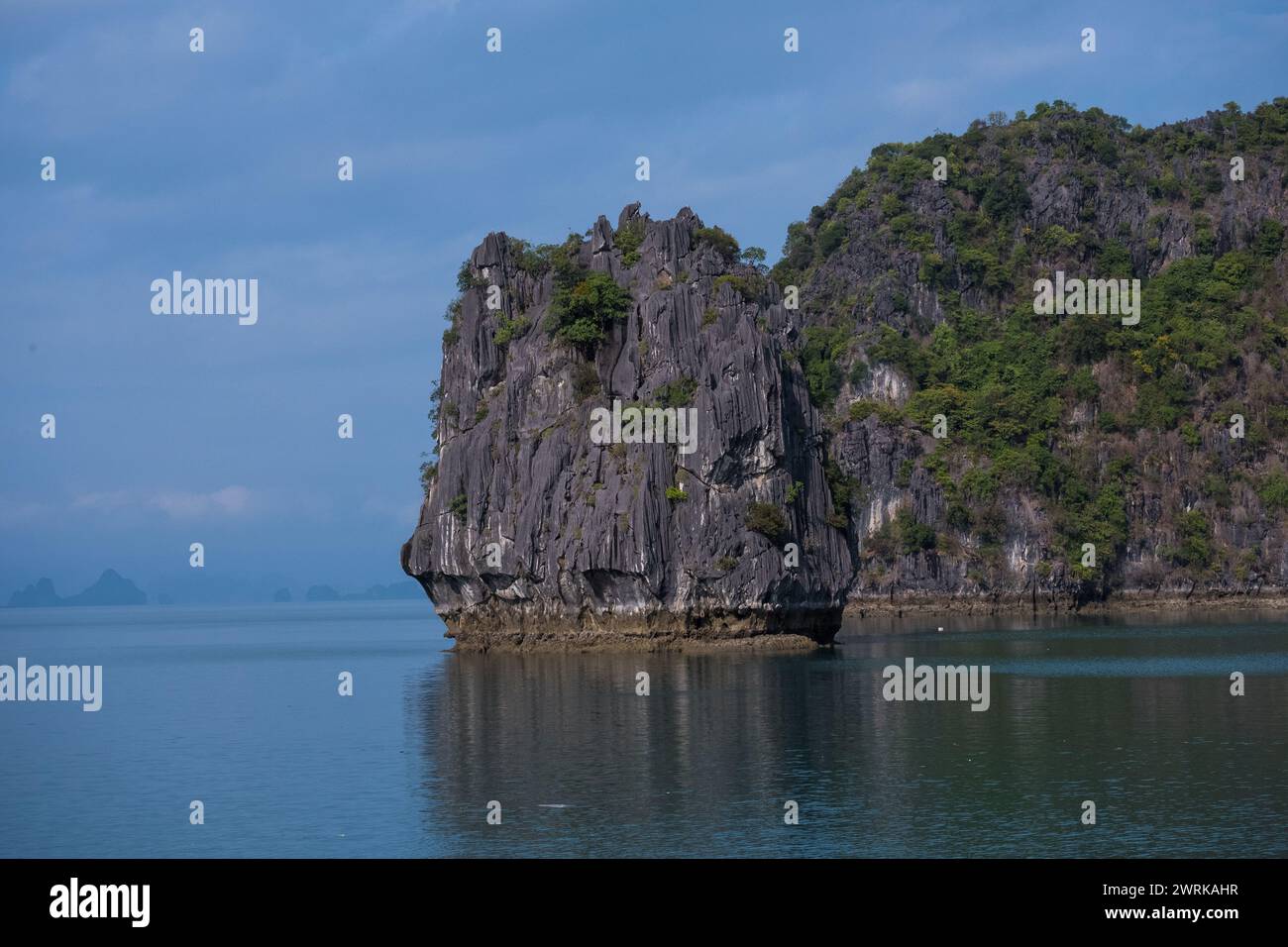 A limestone karst island emerges from the emerald waters of Halong Bay, Vietnam. The island is a dramatic sight, its sheer cliffs rising hundreds of f Stock Photo