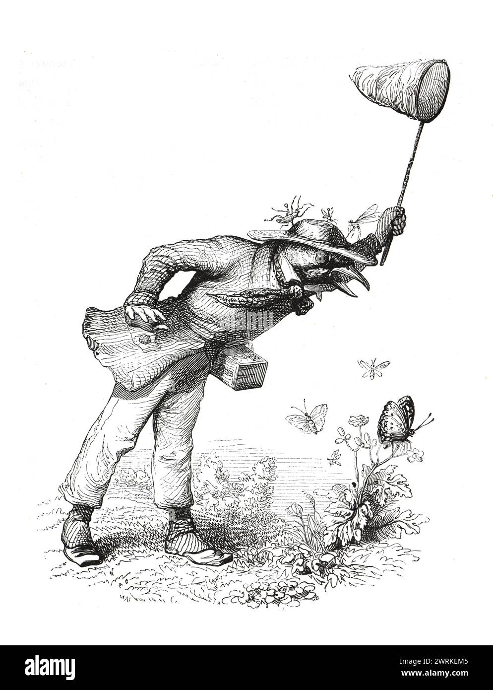 Anthropomorphic animals. humanized animals. Bird catches insects with ...