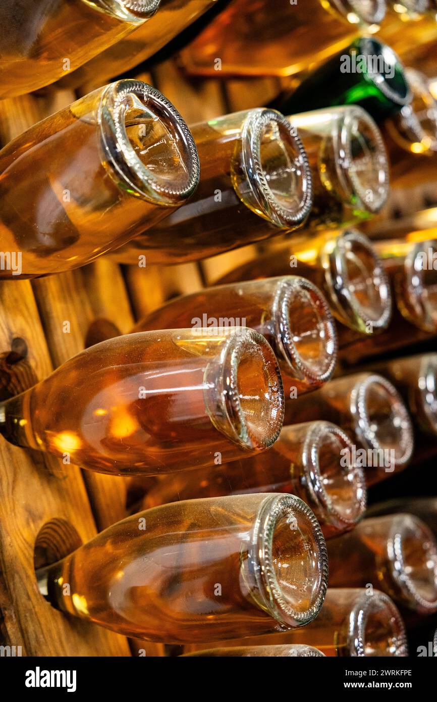 The warm glow of sparkling wine bottles lined up on wooden racks, awaiting the right moment for uncorking. Stock Photo