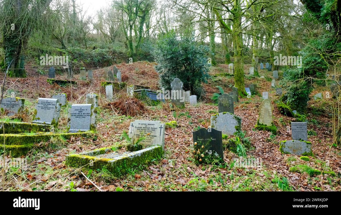 The graveyard at Minster Church, Boscastle, Cornwall, UK - John Gollop Stock Photo