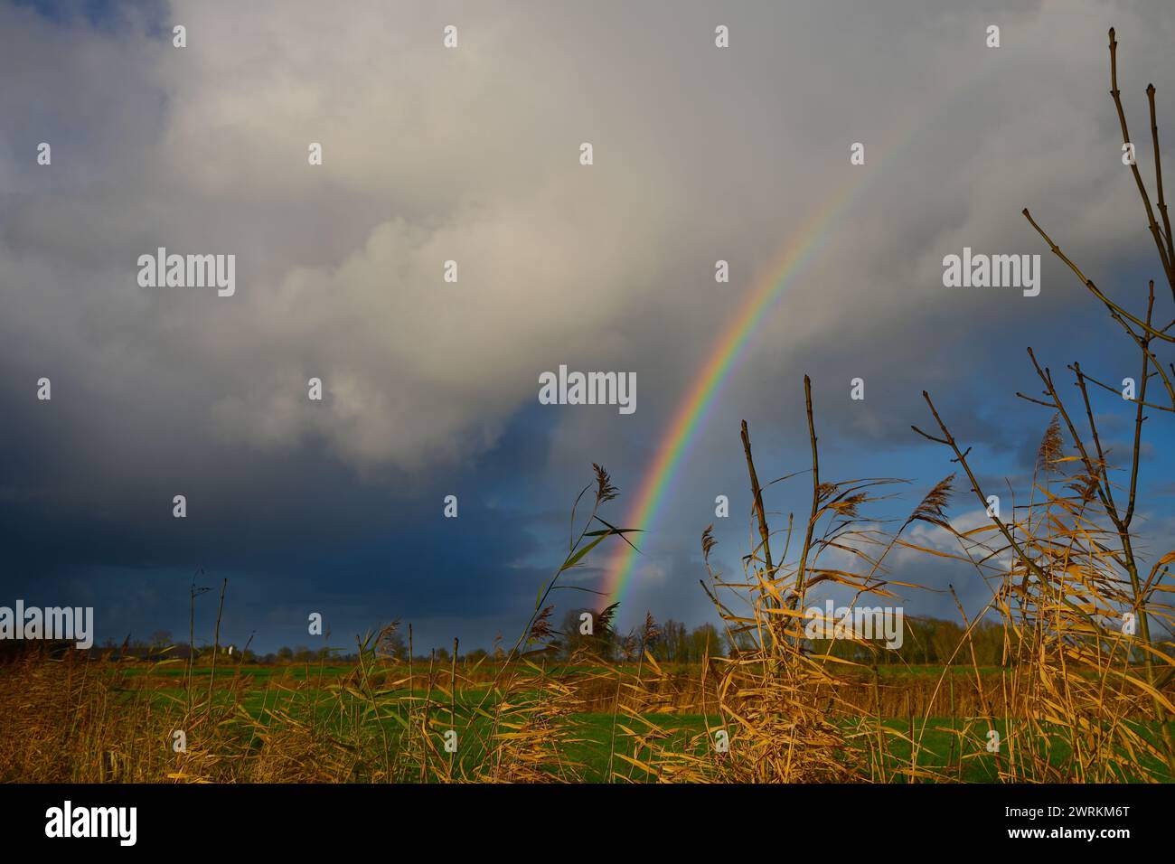 Regenbogen über Friesland Stock Photo