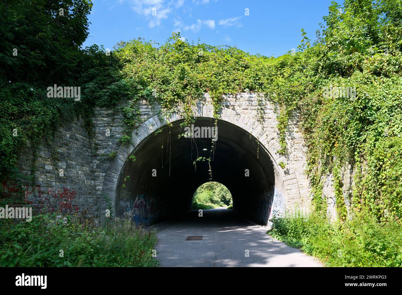 Tunnel with dense foliage on the trackbed of Weymouth and Portland disused railway line, now the Rodwell Trail, used for walking and cycling Dorset UK Stock Photo