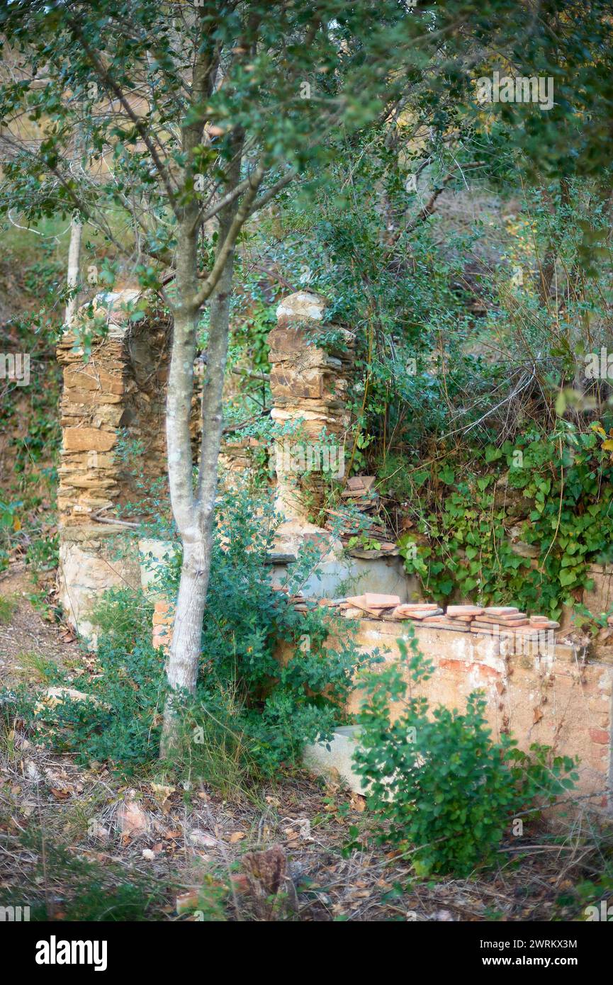 An ancient stone well, ruined and overgrown with vegetation, lies in a green forest. Stock Photo