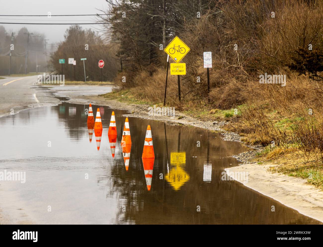 line of orange traffic cones in a water puddle Stock Photo