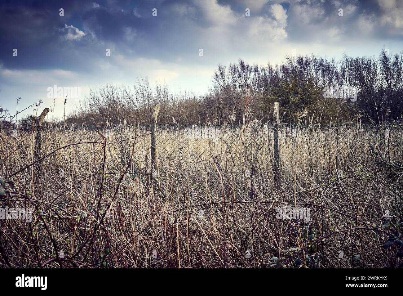 Concrete fence posts hi-res stock photography and images - Alamy