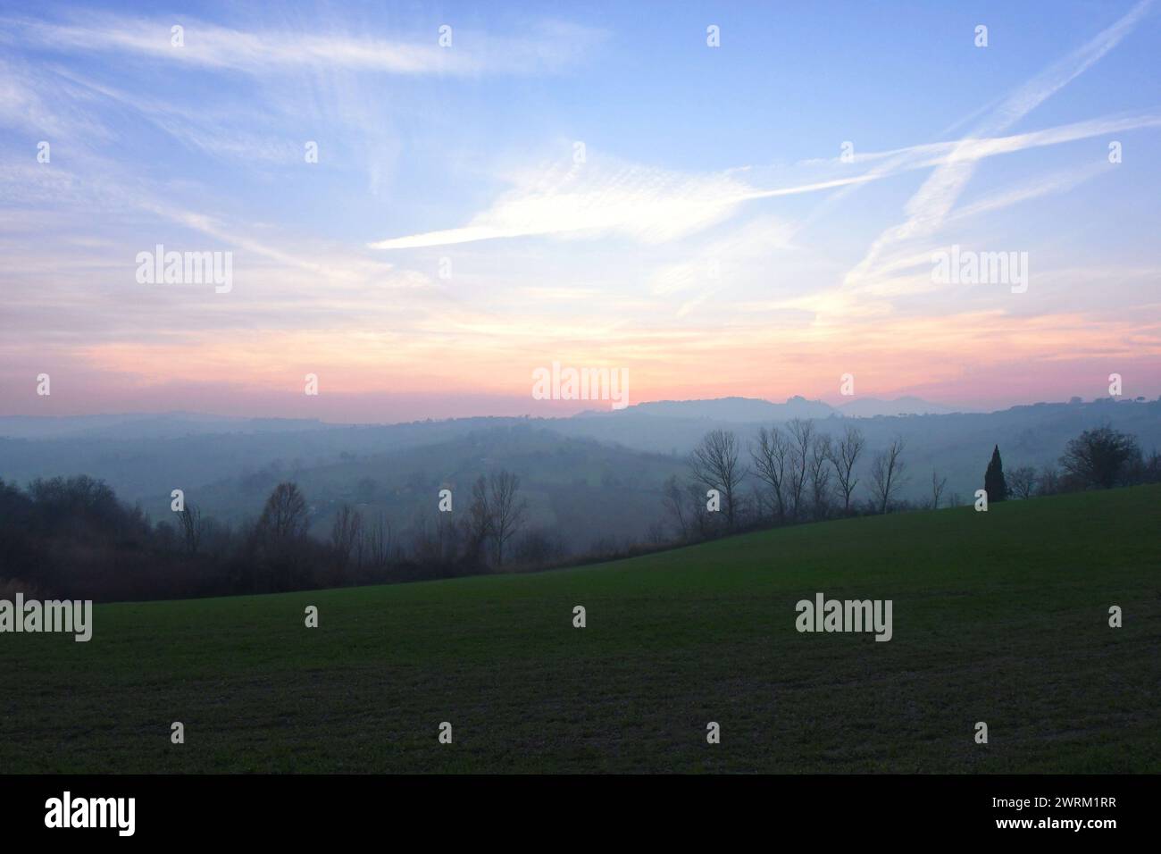 Gold wheat field panorama tree hi-res stock photography and images - Alamy